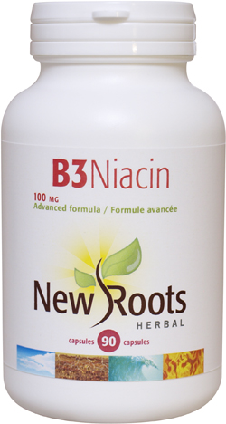 b3-niacin100mg-90c id 15940